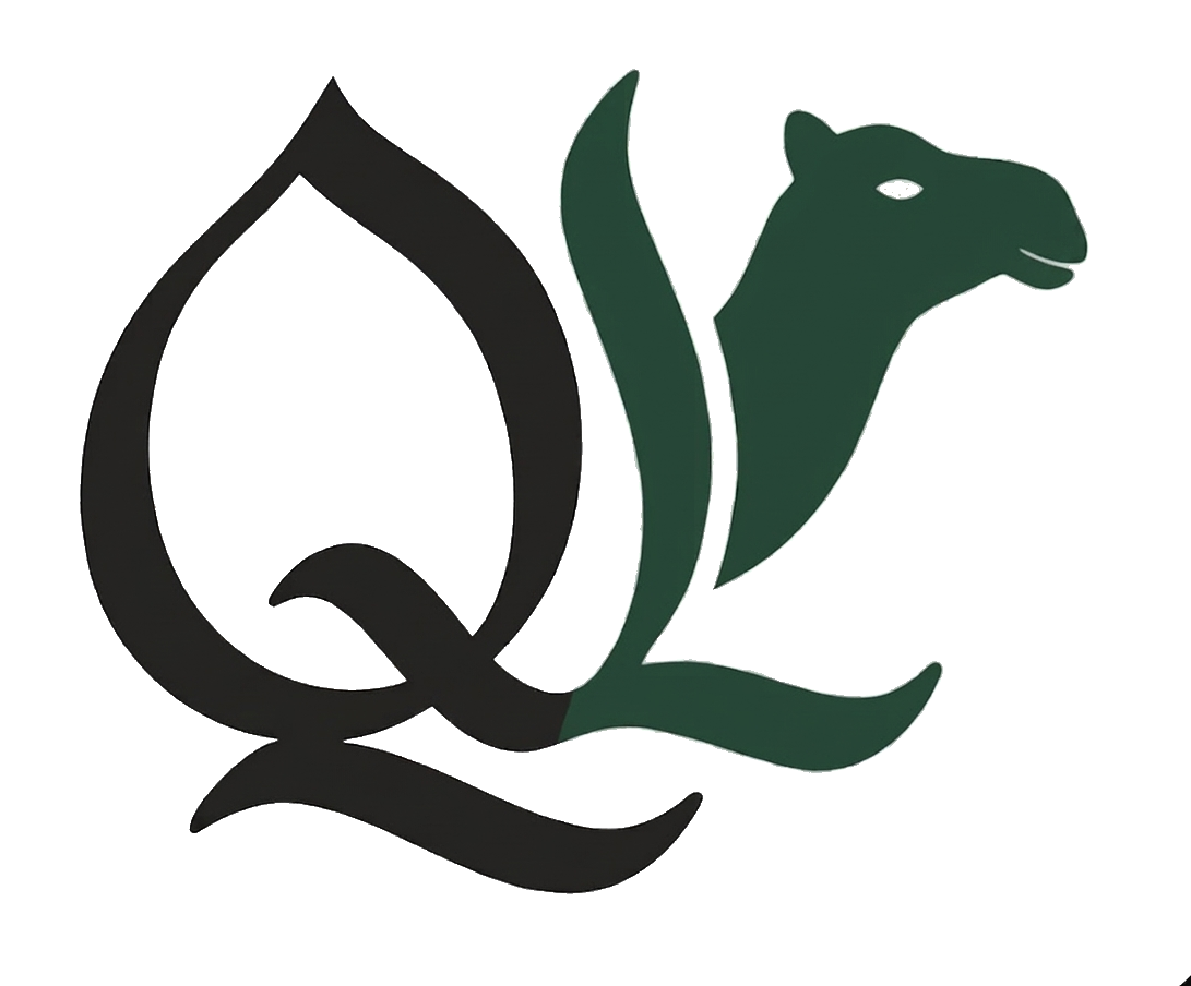 Qaswa Labs Logo